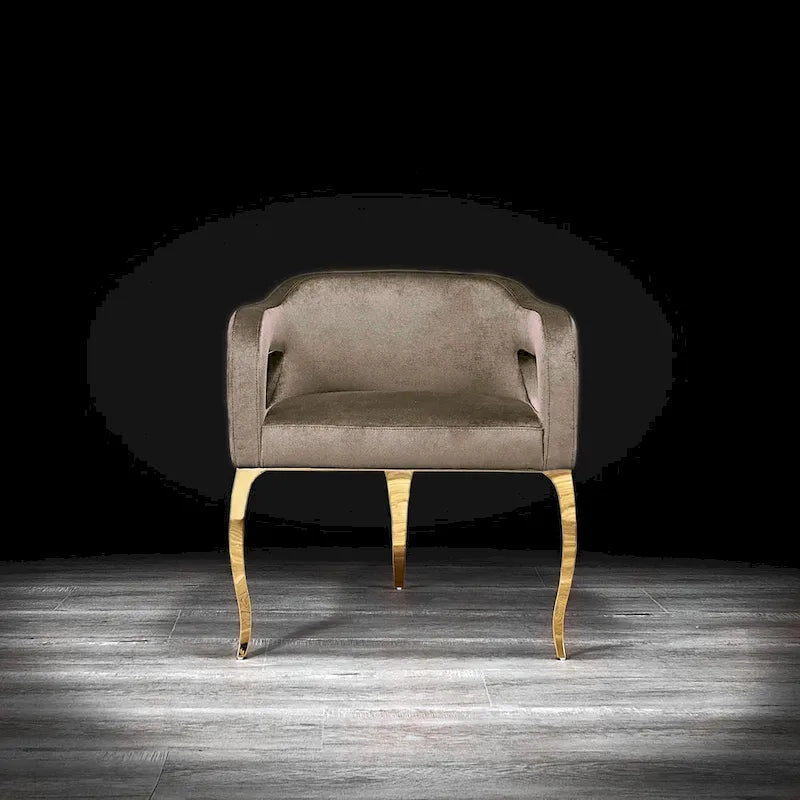 Titanium Gold Stainless Steel Dining Chair