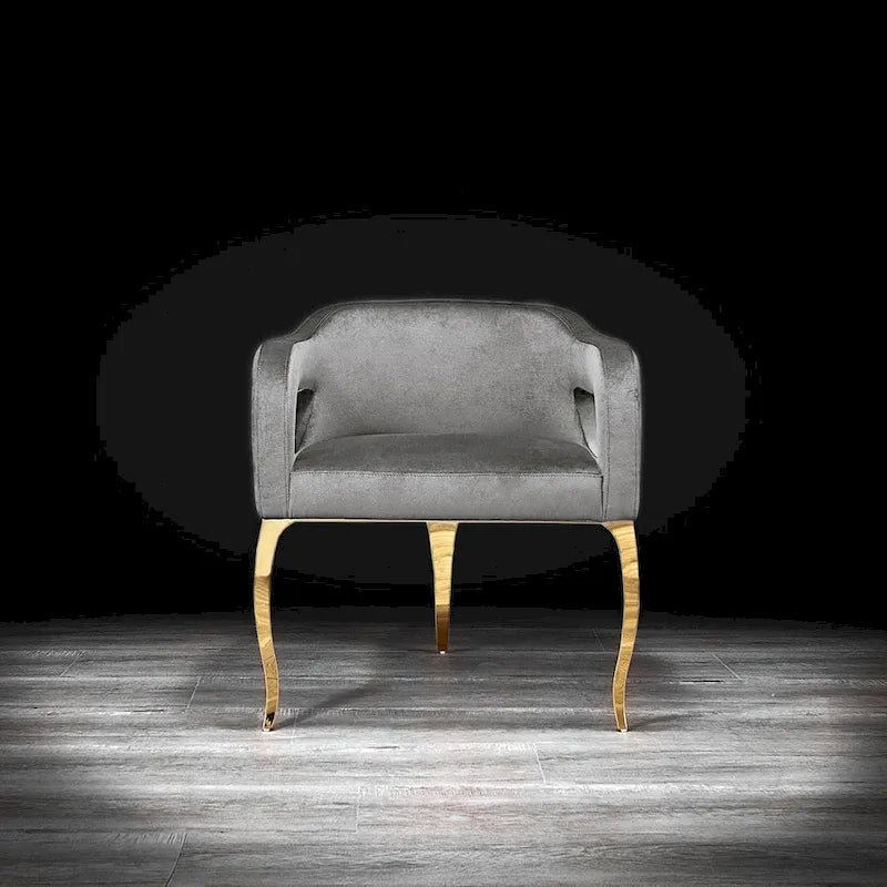 Titanium Gold Stainless Steel Dining Chair