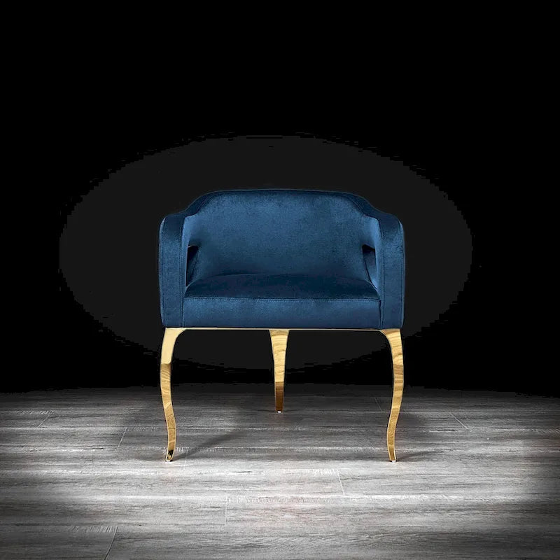 Titanium Gold Stainless Steel Dining Chair