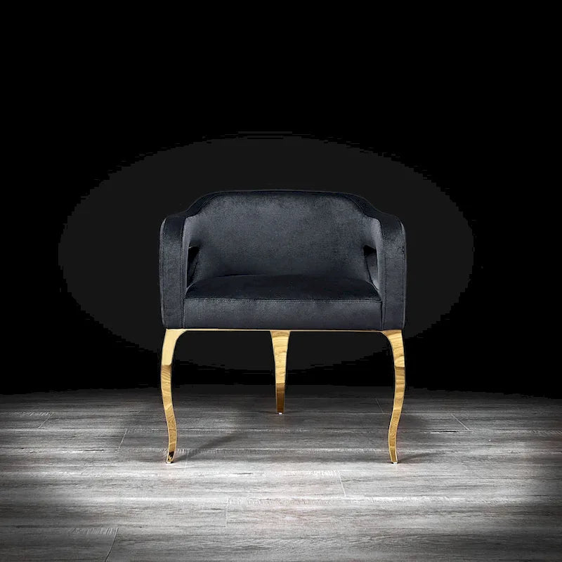 Titanium Gold Stainless Steel Dining Chair